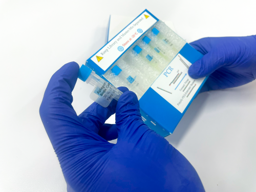 Discovery kit component