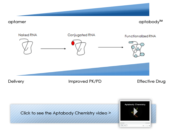 Aptabody conceptual relationships
