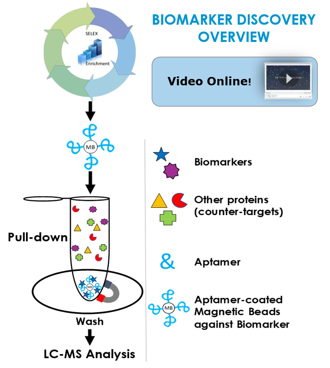 Biomarker discovery process overview