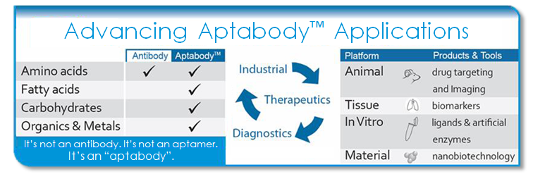 Aptabody vs conventional antibody comparison