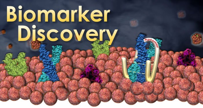 Biomarker discovery concept
