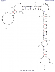 Lung Cancer Serum (Apt-43) structure