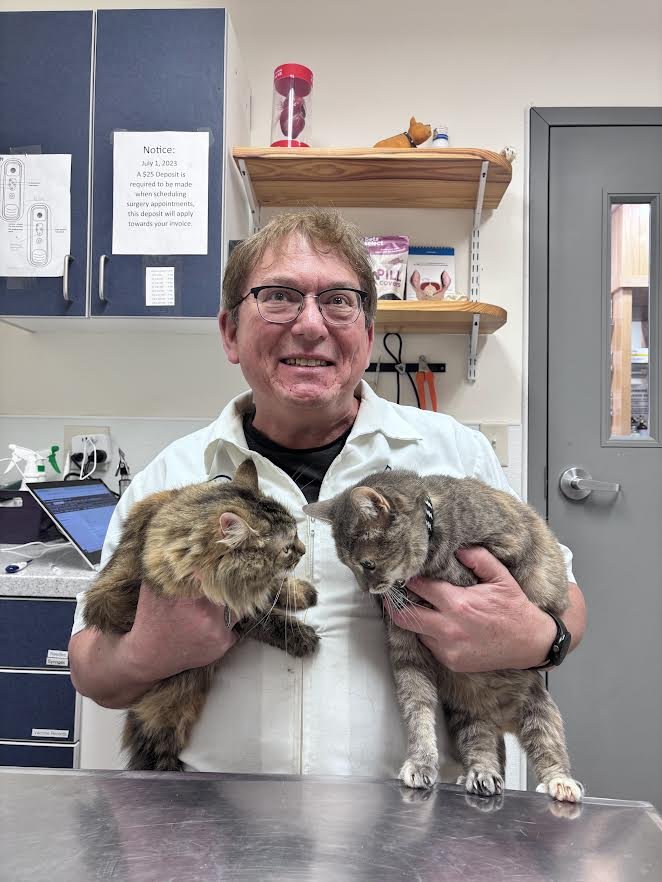 Dr. Dan holding two cats in a veterinary clinic