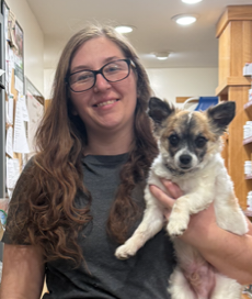 A woman with glasses holds a small dog in a veterinary clinic.