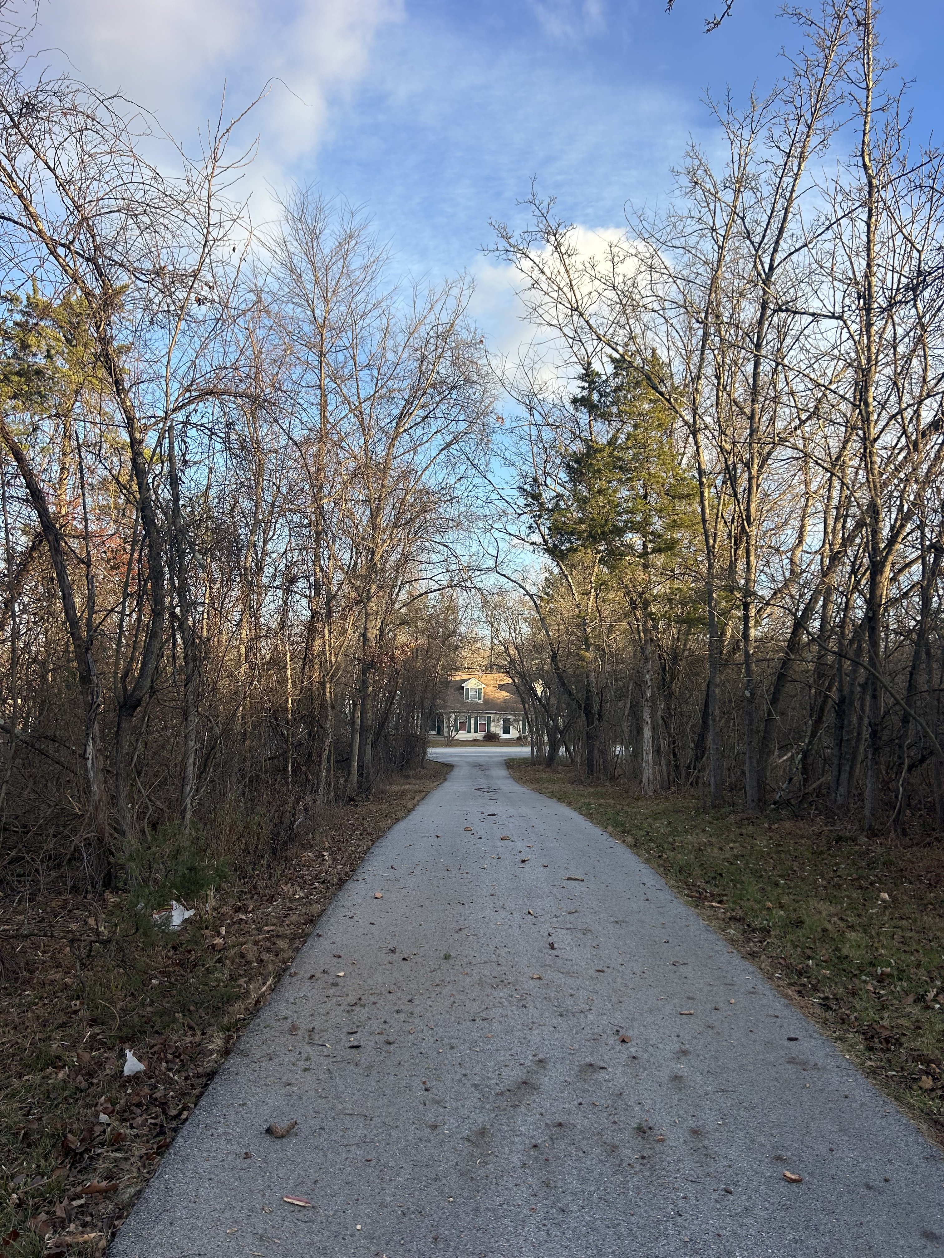 Before land clearing