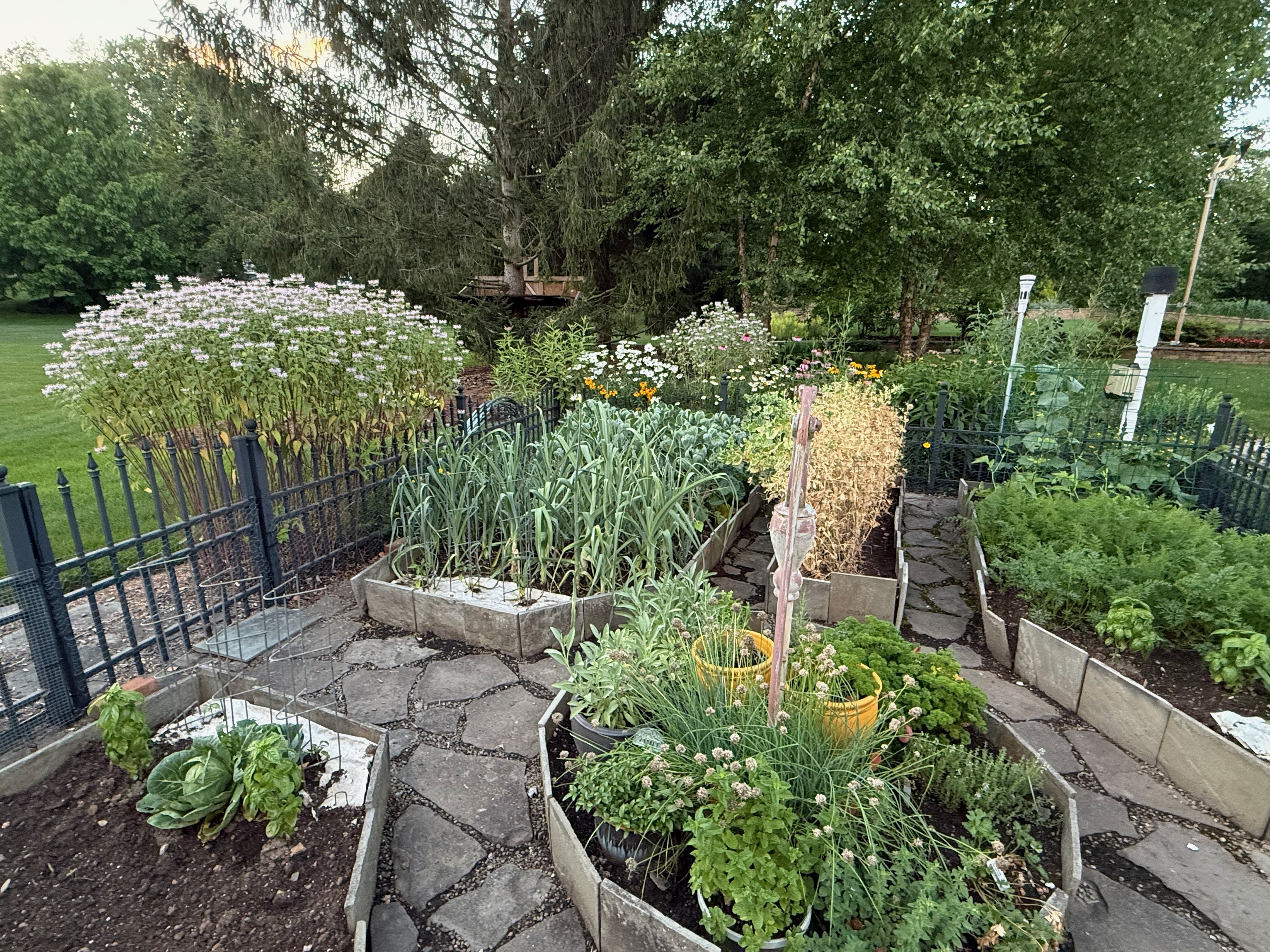 A garden with raised beds