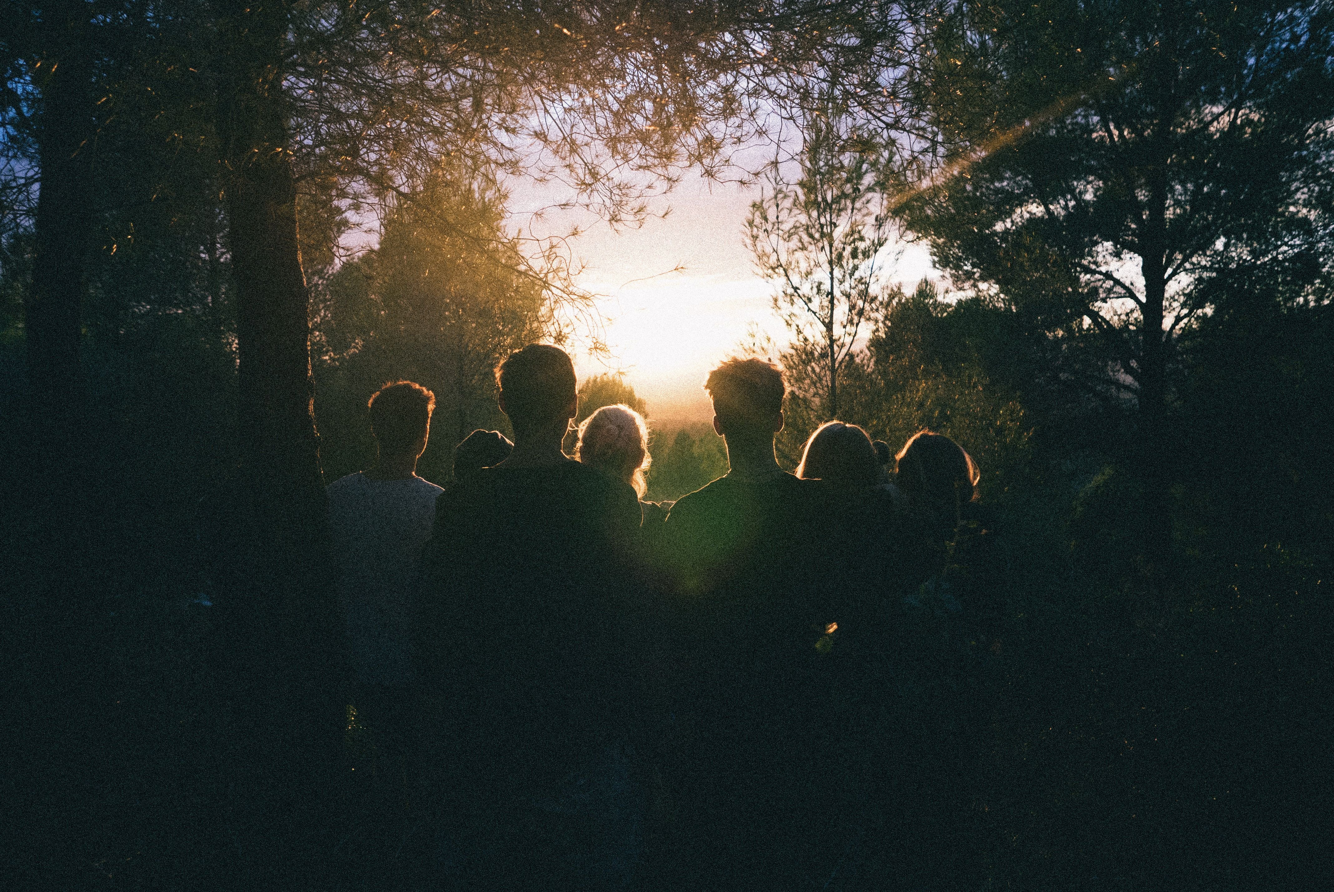 A group of people standing in a forest watching the sunset