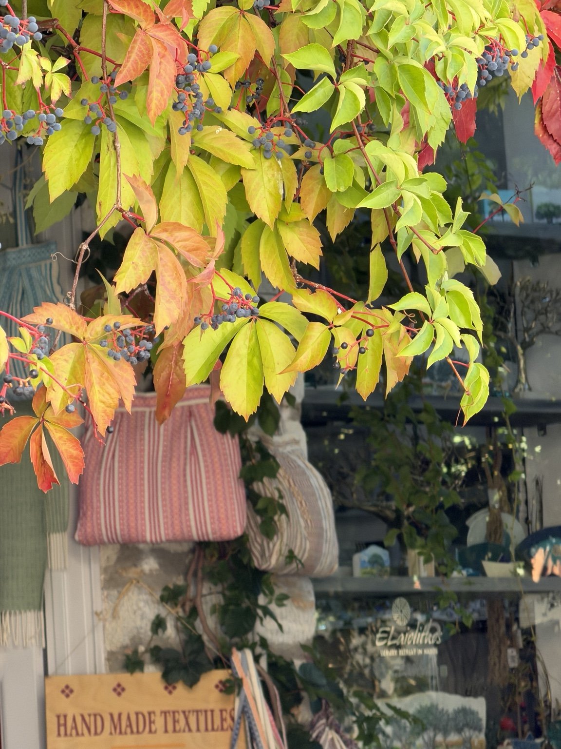 A vibrant display of autumn leaves and berries in a shop window