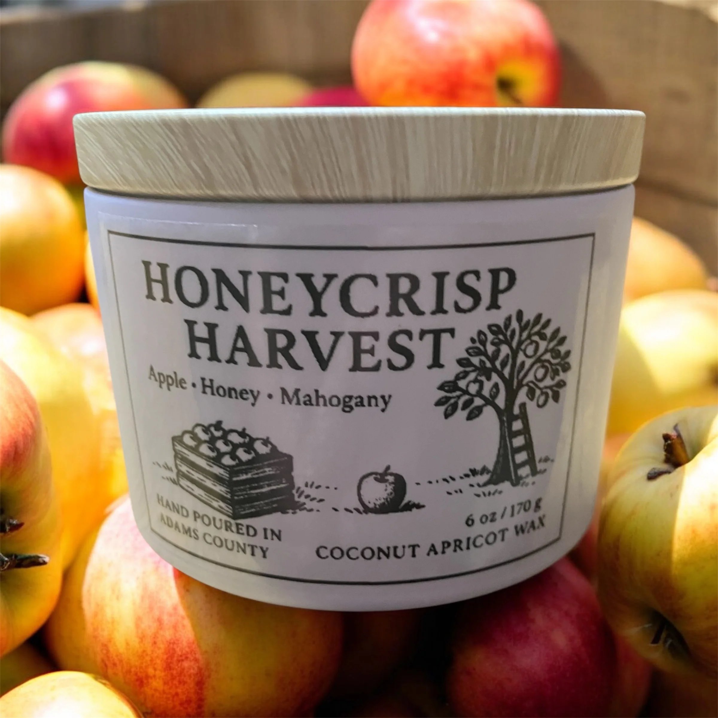 Honeycrisp Harvest