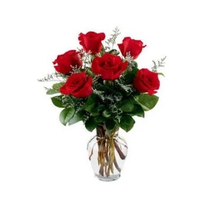 Half Dozen Roses